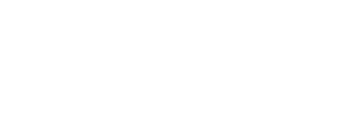 Lightspeed Partner Oracle